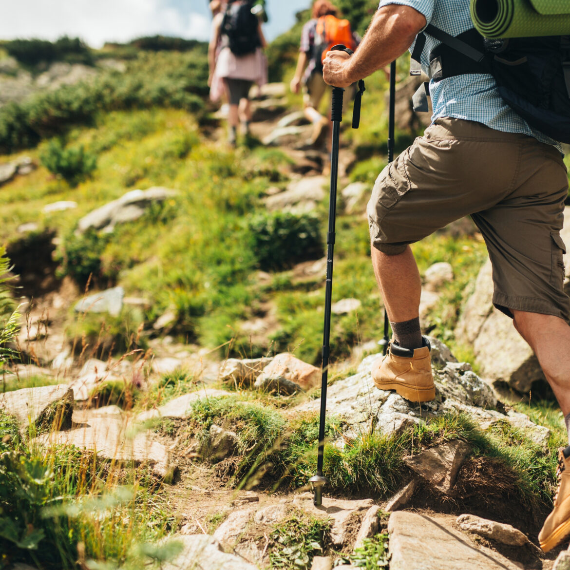 Summer Hiking
