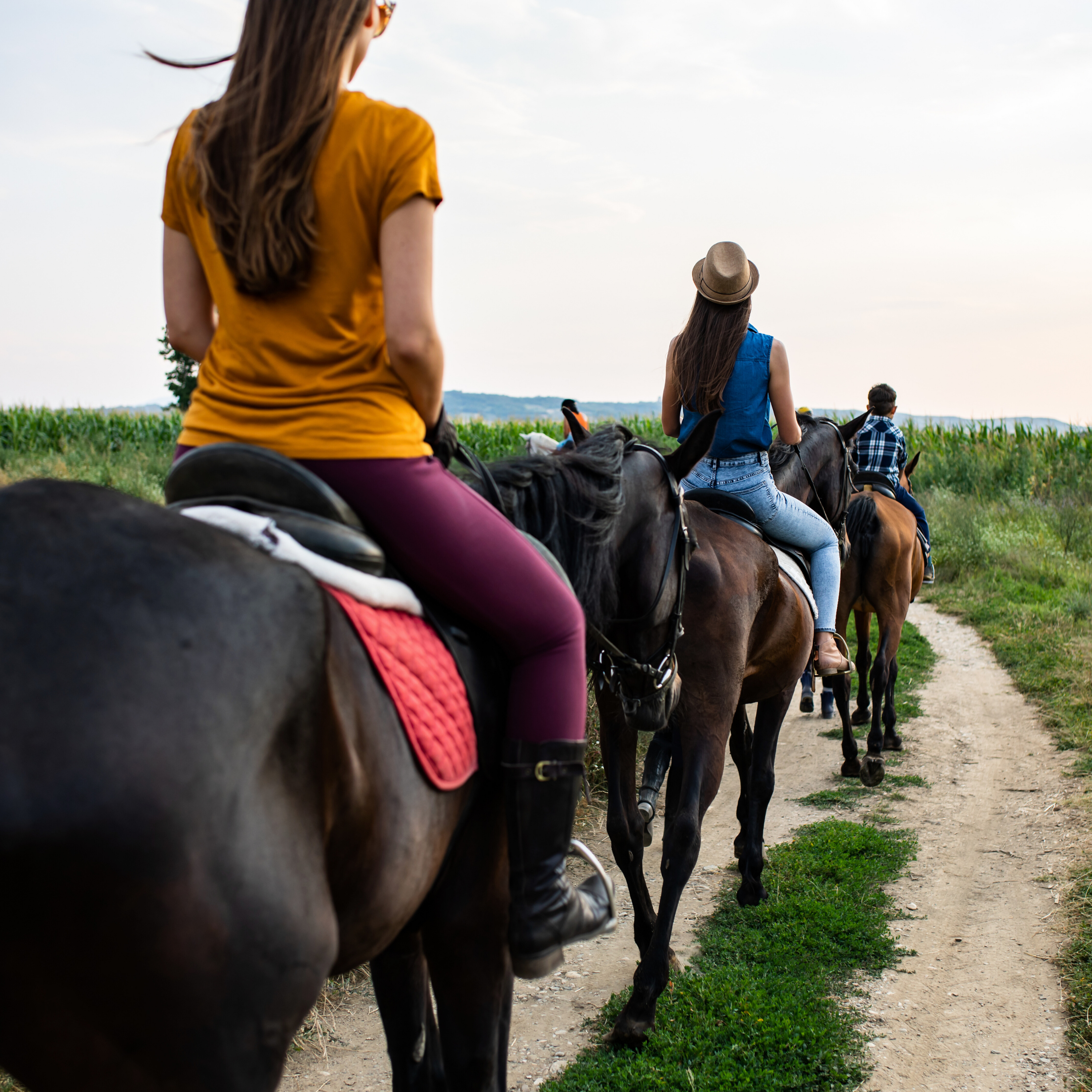Horseback Riding