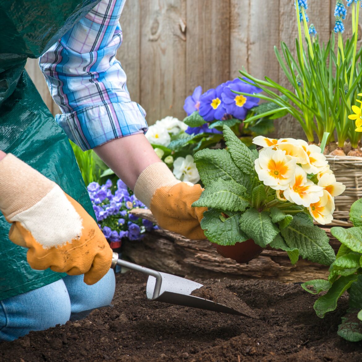 Flower Gardening
