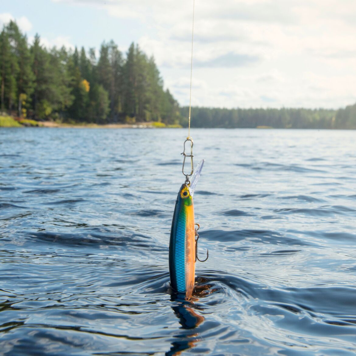 Fish Can Sense Your Lure