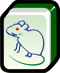 The Mouse (or Rat)